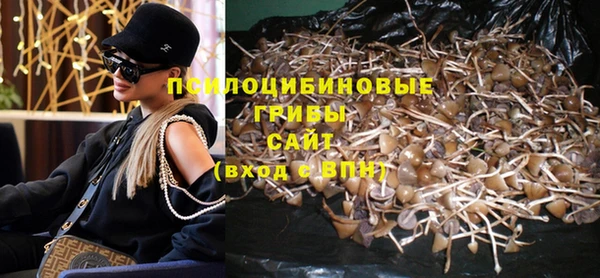 mdpv Вяземский