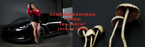 mdpv Вяземский