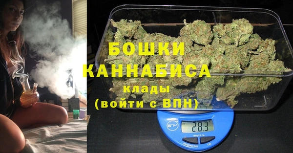 mdpv Вяземский