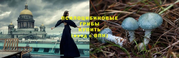 mdpv Вяземский