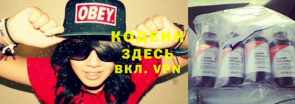 mdpv Вяземский